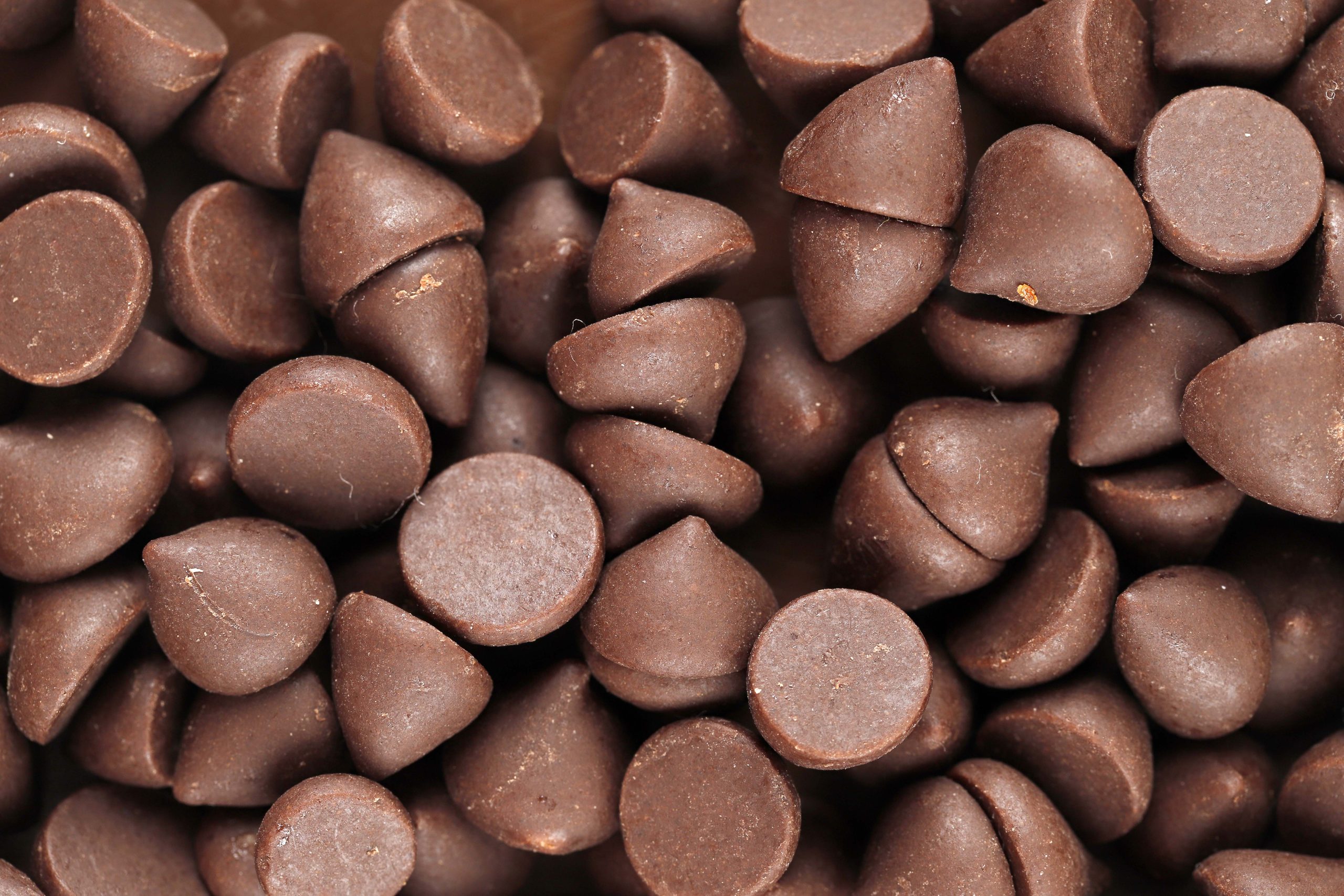 Chocolante – שוקולד צ'יפס חלב